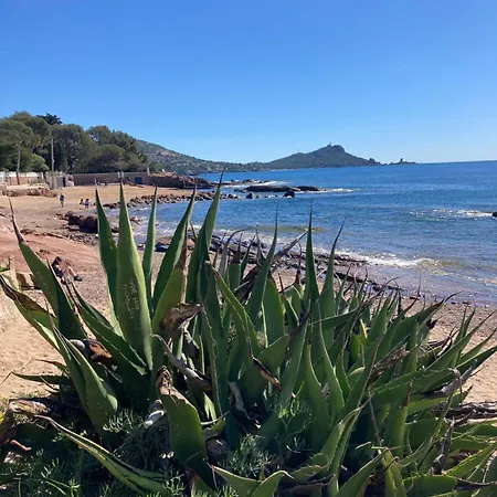 Bord De * Saint-Raphaël